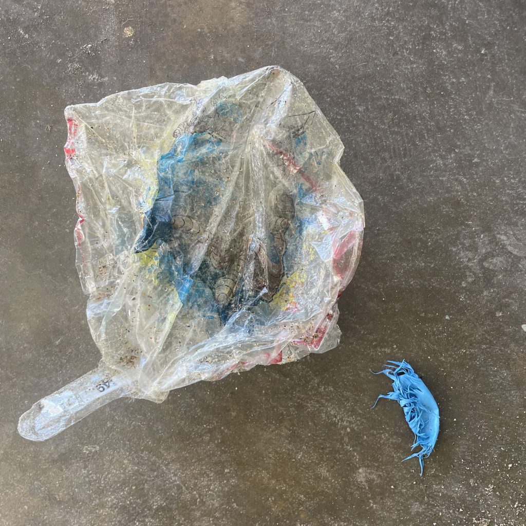 A heavily degraded and faded mylar balloon sits on a wet sidewalk next to a shredded latex balloon now resembling a jellyfish.