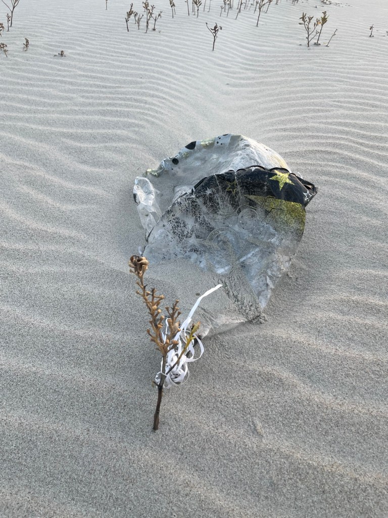 One or two heavily degraded and faded mylar balloons partially covered by sand on the beach. The balloon strings are caught on a dried seaweed twig emerging from the sand dune.