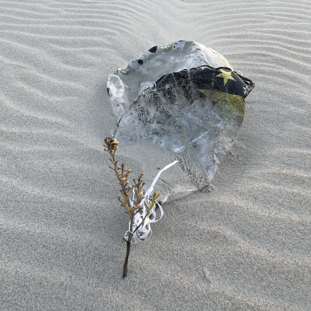 One or two heavily degraded and faded mylar balloons partially covered by sand on the beach. The balloon strings are caught on a dried seaweed twig emerging from the sand dune.