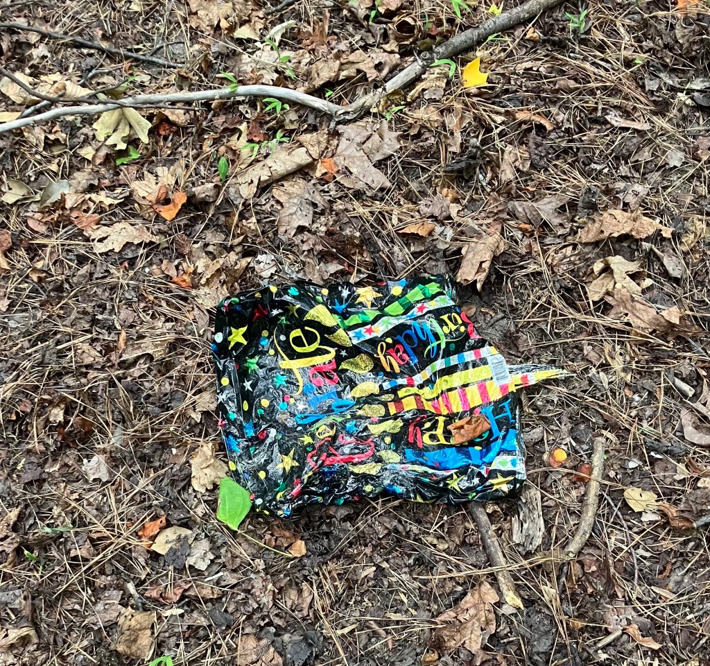 Black foil balloon with “celebrate,” rainbow candles, and multicolor confetti graphics sits deflated on dirt and leaves