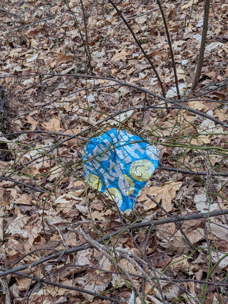 Blue foil balloon with “Happy Birthday” and yellow smiley faces degrading caught in twigs and leaves on a forest floor
